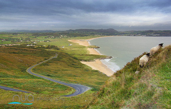Ballymastocker bay Donegal Ireland 16
