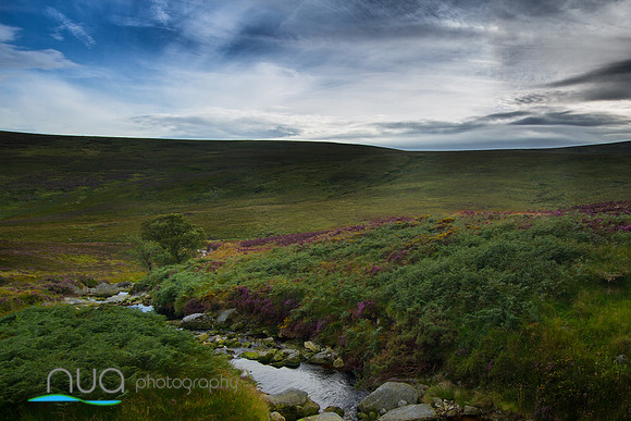 Wicklow Mountain View