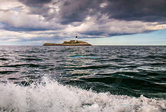 Sea Foam at Rockabill Lighthouse