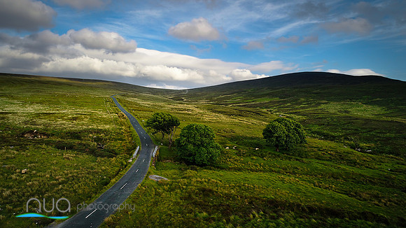 Sally Gap