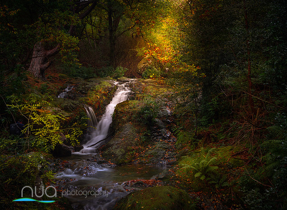 The Glen River Donard Forest park Co. Down