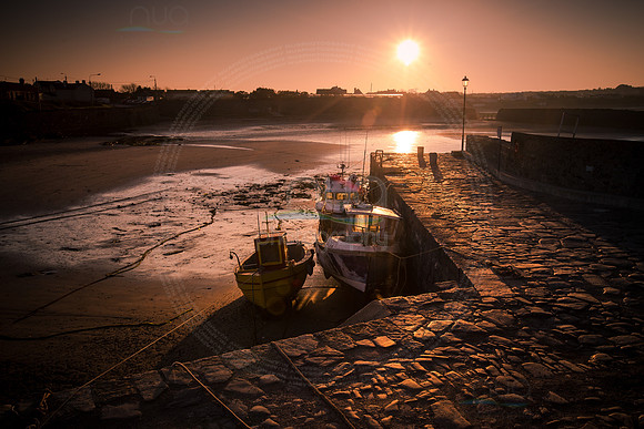 Rush harbour Co. Dublin Ireland 103