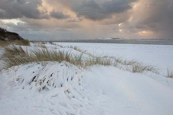 Rogerstown Snow 33