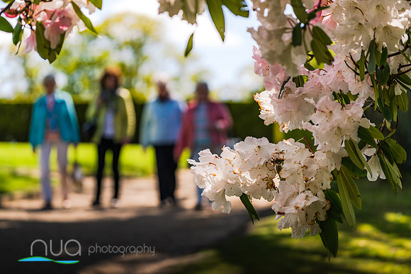 Hillsborough Castle & Gardens 6
