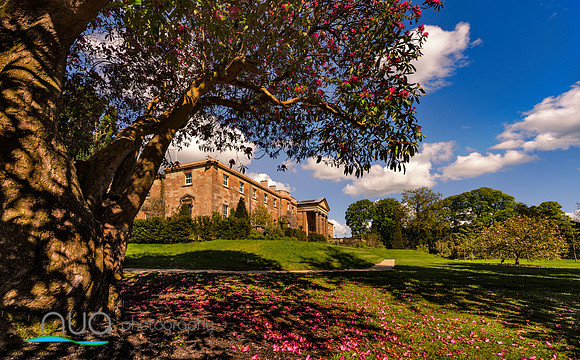 Hillsborough Castle & Gardens 2
