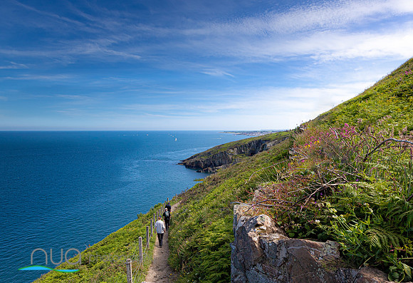 Walking to Greystones on the cliff path