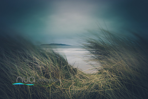 Rush Dunes The Lost Path