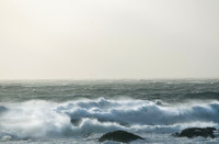 _MG_6380-Edit