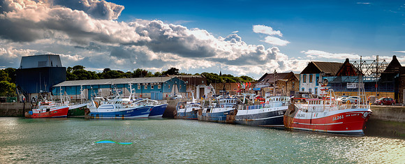 Fishing Fleet at Howth Harbour