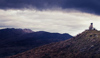Sheep in the Cooley Mountains