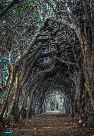 A Mysterious Walk