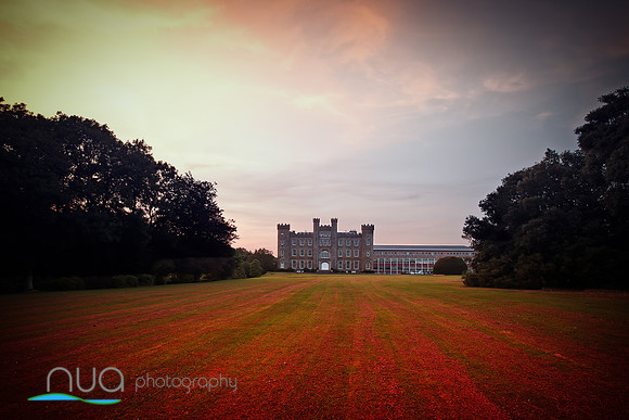 In the Red Gormanston College