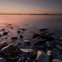 Stones on the shore at Salterstown Co Louth