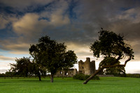 Bective Abbey