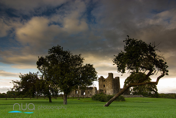 Bective Abbey