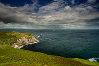 Great Saltee Island green landscape with Little saltee Island in view