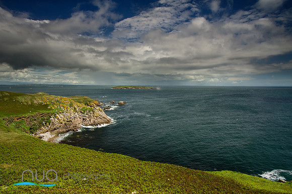 Great Saltee Island green landscape with Little saltee Island in view