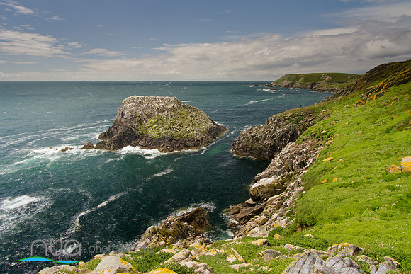 Out crop of rock off The grand Saltee Island Wexford Ireland