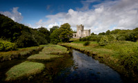 Tintern Abbey, Saltmills Wexford