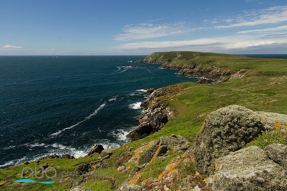 Rugged landscape of the Great Saltee Island Wexford Ireland