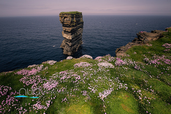 Downpatrick Head 8