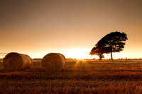 The Sun Sets