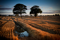 Harvest Reflections