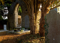 Old Ballyboughal Church Ruins
