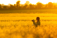 Golden Light