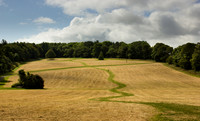 Fields at Ardgillan Castle