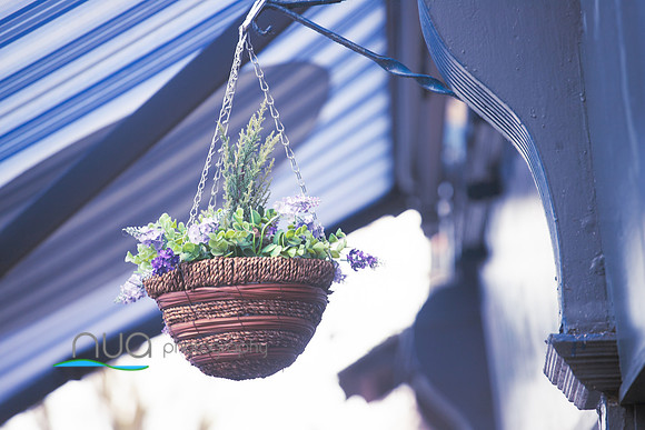 malahide Town 17