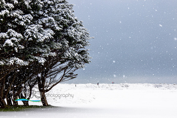 Snow 3