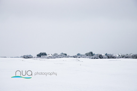 Snow 6