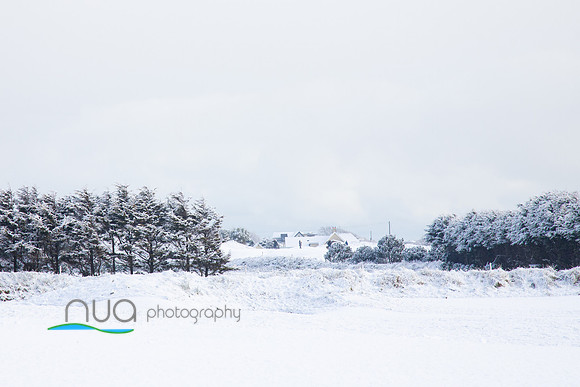 Snow 19