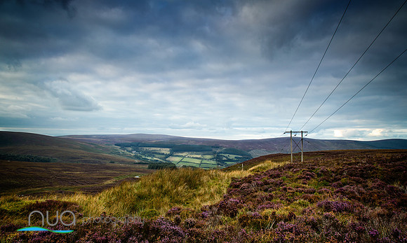 From the old military road towards Glencree