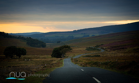 The Winding Road