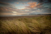 Maram grass North beach may6